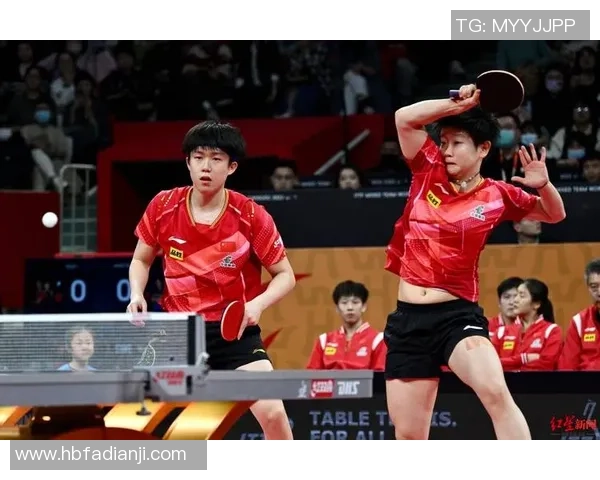 专访篮球教练杨强探索成功背后的秘密与心路历程 专访篮球教练杨强探索成功背后的秘密与心路历程