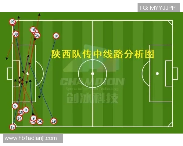 武汉篮球队力量表现数据分析揭示球队潜力与发展方向的深度研究