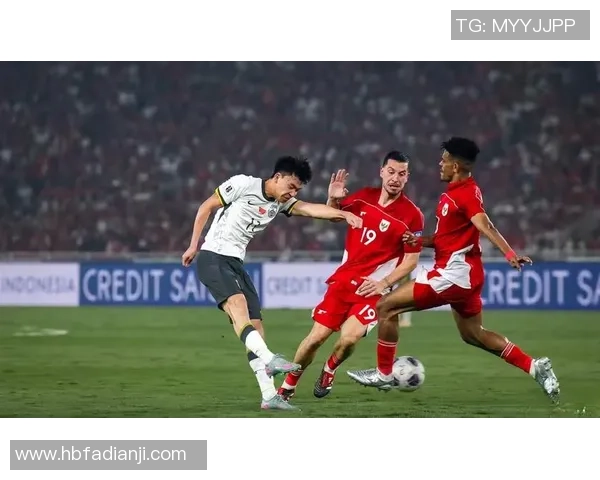 世界杯预选赛分析:北京排球队意识与表现的深度剖析