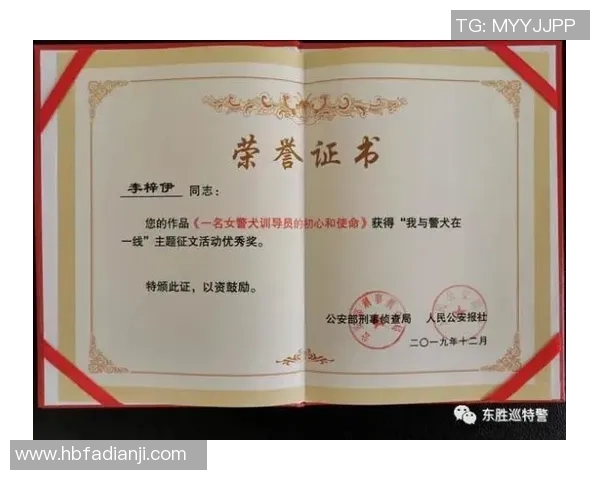 张磊专访揭秘篮球成功秘诀与职业生涯的心路历程