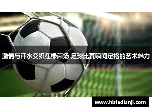 激情与汗水交织在绿茵场 足球比赛瞬间定格的艺术魅力