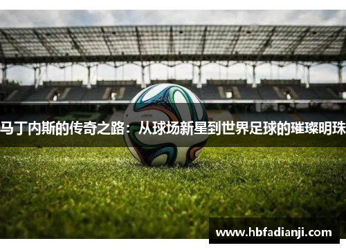 马丁内斯的传奇之路：从球场新星到世界足球的璀璨明珠